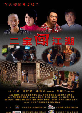 二宝闯江湖A Story of Two Wanderers