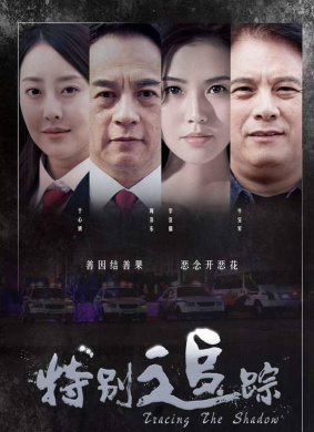 特别追踪Tracing The Shadow