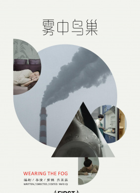 雾中鸟巢Wearing the Fog