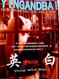 英和白Ying He Bai