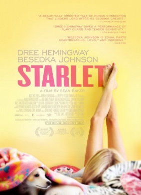 待绽蔷薇Starlet