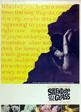 天涯何处无芳草Splendor in the Grass