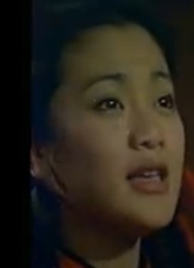 爱的贼船The Pirate of Love